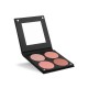 Blush Palette  4  Colours