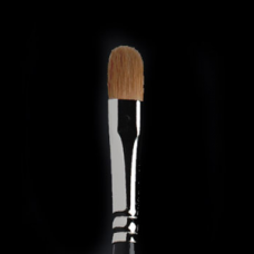 Brush P8 Medium Eyeshadow 